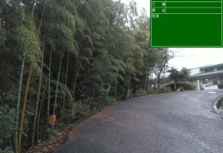 （株）タムラ　～伐採作業～